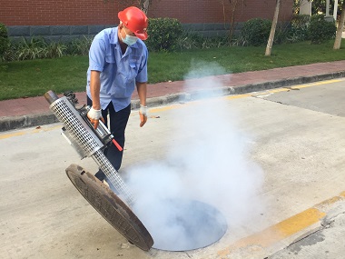 石排杀虫灭鼠机构下水道消杀四害，灭除蚊虫有妙招