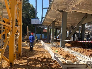 大朗白蚁灭除公司新建房屋如何预防白蚁
