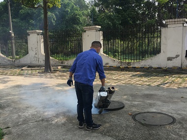 大岭山病媒生物防控所：这样做远离基孔肯雅热